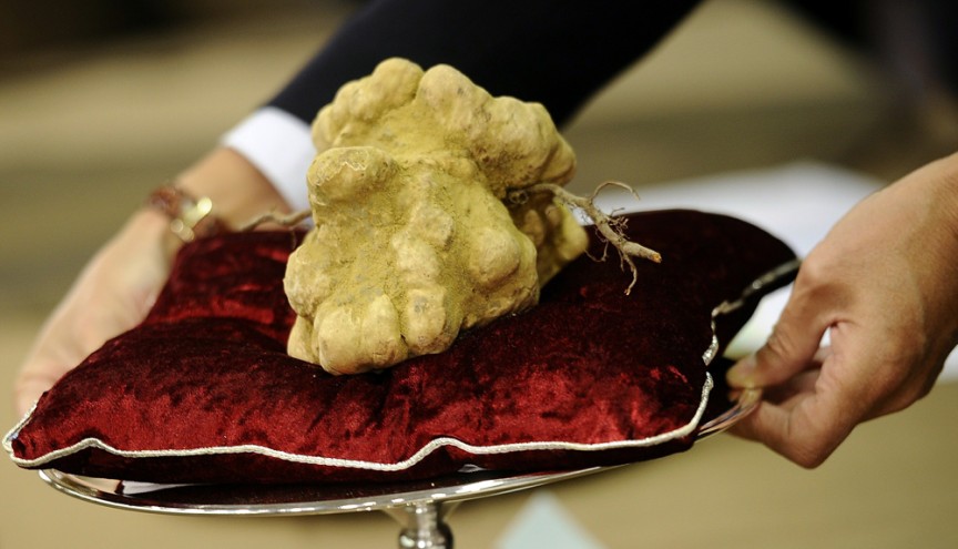 World's Most Expensive Truffel